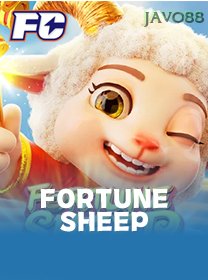 Fortune Sheep